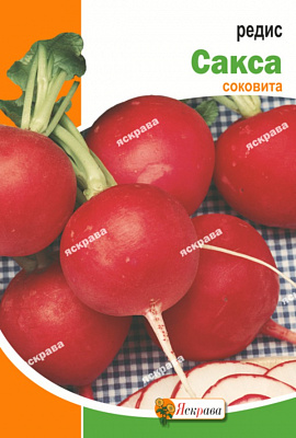 Насіння Яскрава редиска Сакса 2000 шт.
