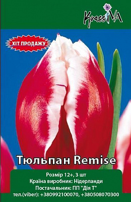 Луковица Тюльпан Remise 3 шт. 