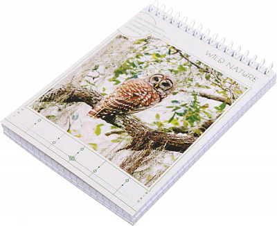 Блокнот А6 у клітинку 96 листів в асортименті Поділля