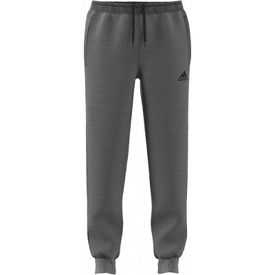 Брюки Adidas CORE18 SW PNT CV3752 р. L серый
