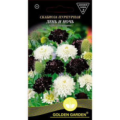 Семена Golden Garden Скабиоза Пурпурная День и Ночь (Голден Гарден) (4820164125458) 0.3 г