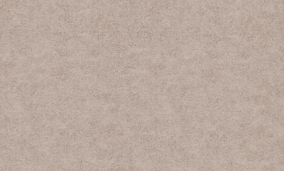 Шпалери вінілові на флізеліновій основі Bravo 81116BR03 1,06x10,05 м