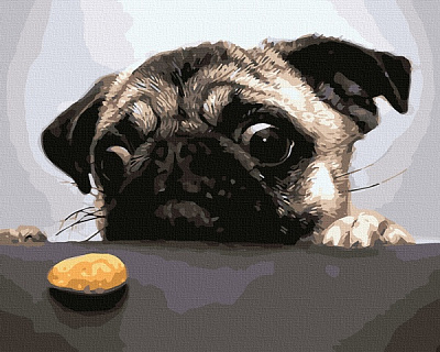 Картина по номерам Недосягаемое печенье 11601-AC 40х50 см ArtCraft 