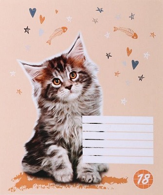 Тетрадь школьная Cat 18 листов клетка 2 Мечты сбываются