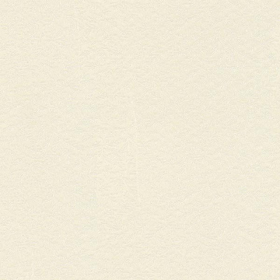 As Creation Chateau 4 95516-3 0.53x10.05 м