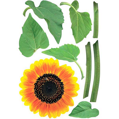 Декоративная наклейка Подсолнухи 49x70 см