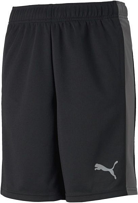 Шорти Puma Active Sports Poly Shorts 58587501 р. 176 чорний