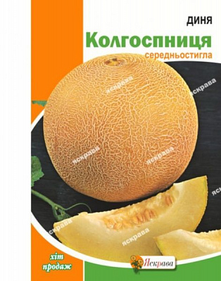 Насіння Яскрава диня Колгоспниця 10г