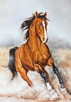 Репродукция Конь гнедой 50x70 см Арт Фемелі 