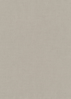 Шпалери вінілові на флізеліновій основі Erismann Aurora 12247-38 1,06x10,05 м