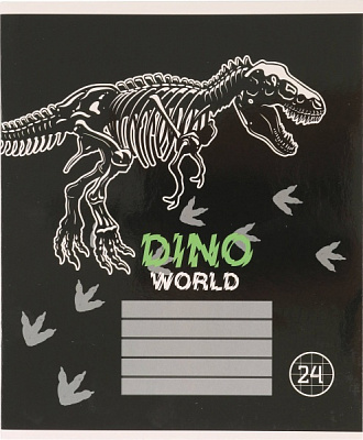 Зошит шкільний Dino скоба 24 аркушів в клітинку Мрії збуваються