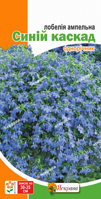 Насіння Яскрава лобелія ампельна Лобелія ампельна Синій каскад