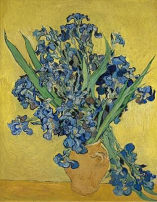 Набор для творчества со стразами на подрамнике Ирисы Худ. Vincent van Gogh 30x40 см (У) GoToArt 