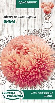 Насіння Семена Украины айстра піоновидна Яніна 771200 0,25 г