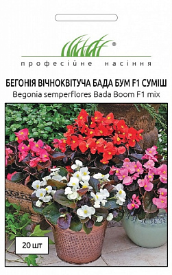 Насіння Професійне насіння бегонія Бада Бум F1 суміш 20 шт. (4823058203058)