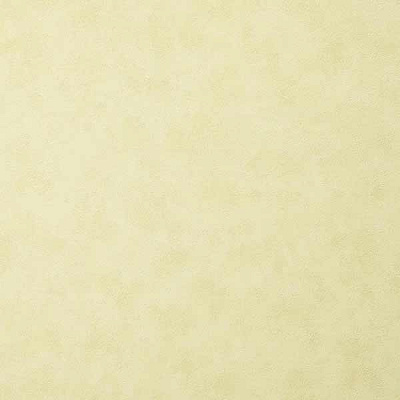 Эдем Статус 9031-18 1.06x10.05 м