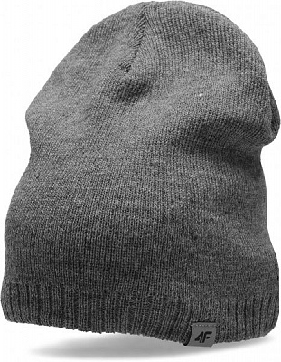 Шапка 4F J4Z20-JCAM205-23S OS сірий