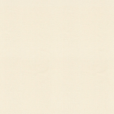 Шпалери Vinil Джунглі стена СШТ 4-1099