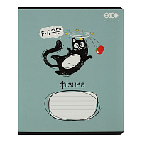 Тетрадь предметная CRAZY CAT 48 лист. клетка физика KIDS LINE ZiBi