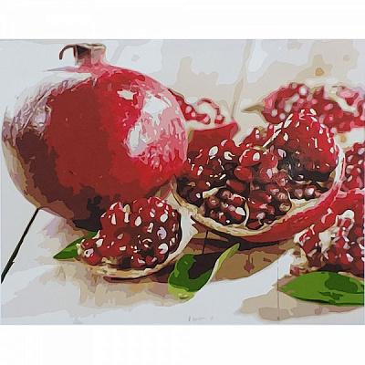 Раскраска по номерам Strateg Гранат 40х50 см GS049