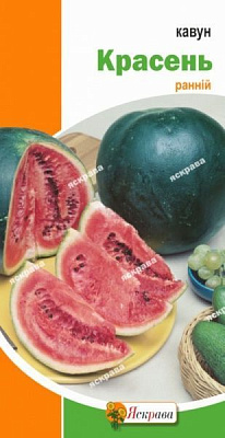 Семена Яскрава арбуз Красавец 2г (4823069808495)