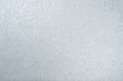 Шпалери зі спіненого вінілу Vinil Фіджі декор ДХС-1480/4 1,06x10,05 м