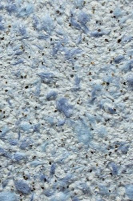 Рідкі шпалери Bioplast 420 1 кг