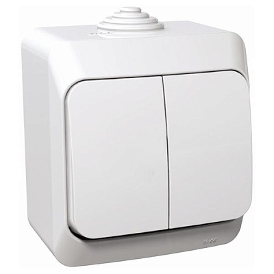 Выключатель влагозащищенный двухклавишный Schneider Electric Cedar Plus без подсветки 10 А 250В IP55 белый WDE000550