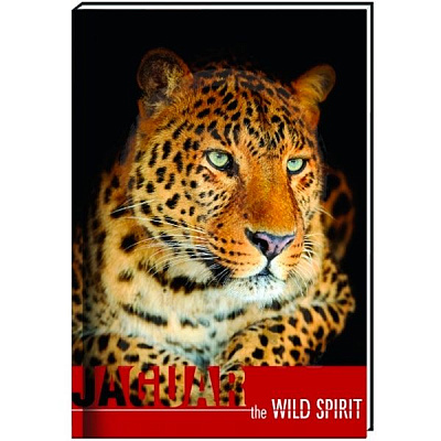 Зошит клітинка Cool For School Wild Spirit А6 80 аркушів