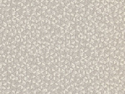 Шпалери вінілові на паперовій основі Слов'янські шпалери Expromt Оріон 5759-03 0,53x10,05 м