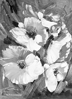 Репродукция Маки черно-белые 50x70 см Арт Фемелі 