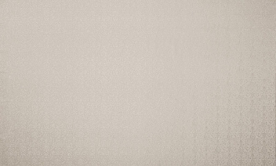 Шпалери вінілові на флізеліновій основі Bravo SIMPLE SP503-03 1,06x10,05 м