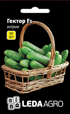 Насіння LedaAgro огірок Гектор F1 50 шт. (4820119791431)