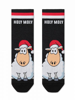 Шкарпетки чоловічі DiWaRi 651 DW NEW YEAR 21С р.27-29 чорний