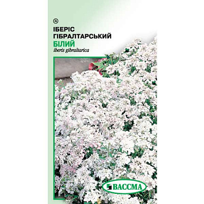 Семена Цветы Иберис гибралтарский белый 0.2 г