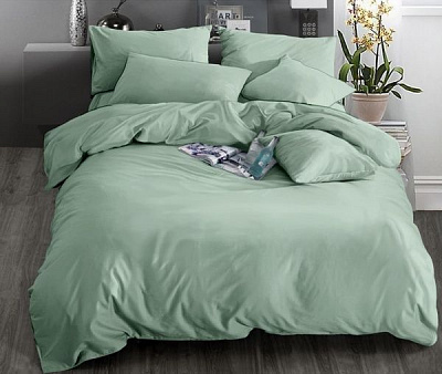 Комплект постельного белья Серо-зеленый евро Word of Dream 