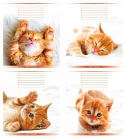 Комплект зошитів Руде кошеня 48 арк. клітинка 16 шт./уп. (4 дизайни) Мрії збуваються