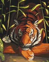 Картина за номерами Бенгальський тигр 11618-AC 40х50 см ArtCraft 