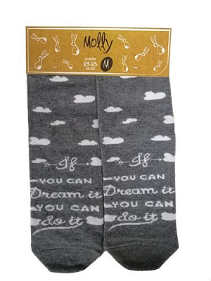 Шкарпетки жіночі Молли Мріяти р. 23-25 сірий 1 пар