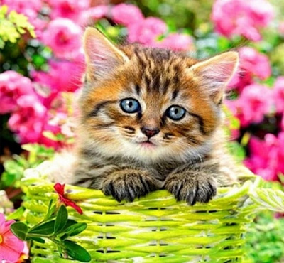 Набор для творчества Маленькая радость 30x30 см 188701 Діамантові ручки 