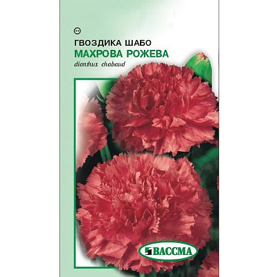 Семена Цветы Гвоздика Шабо Махровая розовая 0.2 г