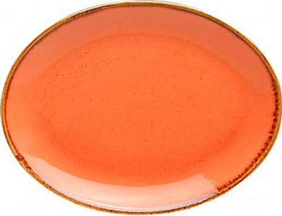 Блюдо овальное Seasons 24 см оранжевое 04ALM001572 Porland 