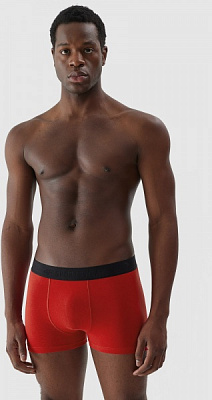 Труси 4F BOXER SHORTS M027 (2PACK) 4FAW23UBXSM027-91S р.S різнокольоровий