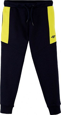 Брюки 4F J4L21-JSPMD207A-30S р. 158 синий