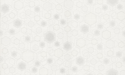 Шпалери вінілові на флізеліновій основі Bravo 81168BR30 1,06x10,05 м