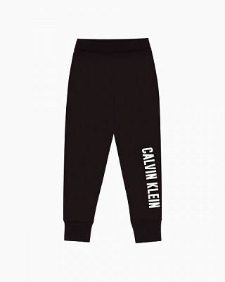 Штани Calvin Klein Performance 00GWH9P655-007 р. S чорний