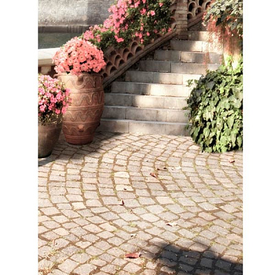 Плитка Golden Tile Troyanda Sorrento декор №6 60Б361 25x33