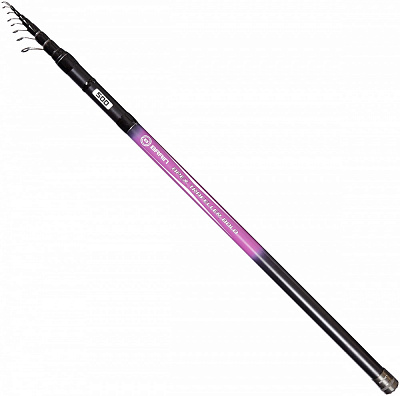 Болонське вудлище Brain Apex Traveller 4.00m 368 см