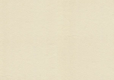 Обои виниловые на флизелиновой основе Vinil Аделина СШТ 3-1213 1,06x10,05 м 