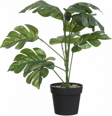 Растение искусственное Аспидистра зеленая PFC(NL)-1049